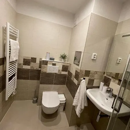 Beroun Apartment *
