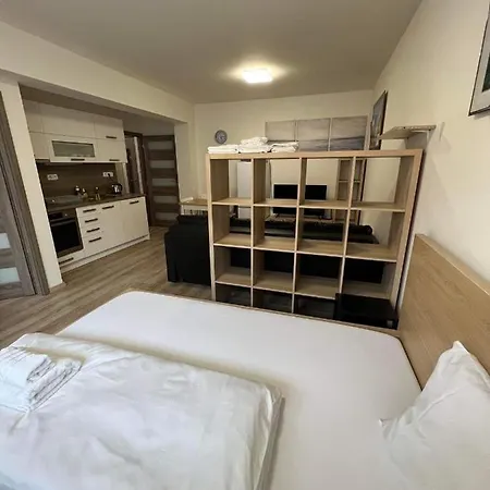 Beroun Apartment