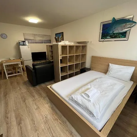 Beroun Apartment *